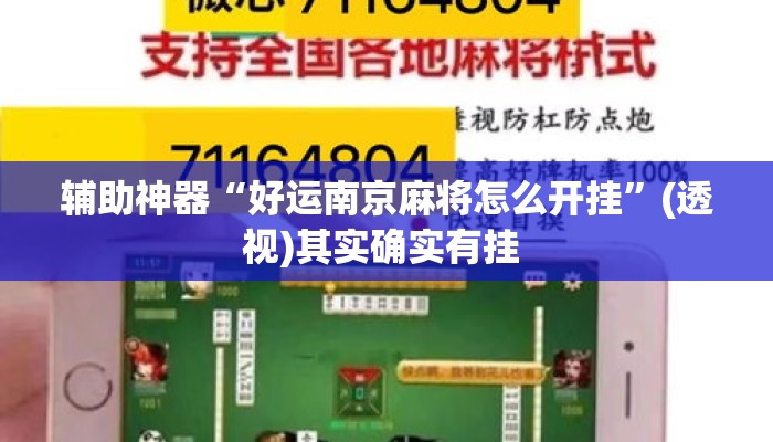 辅助神器“好运南京麻将怎么开挂”(透视)其实确实有挂 