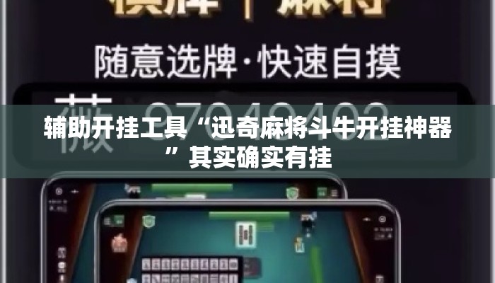 辅助开挂工具“迅奇麻将斗牛开挂神器”其实确实有挂