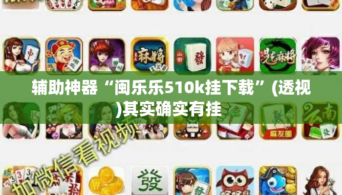辅助神器“闽乐乐510k挂下载”(透视)其实确实有挂 