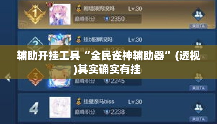 辅助开挂工具“全民雀神辅助器”(透视)其实确实有挂 