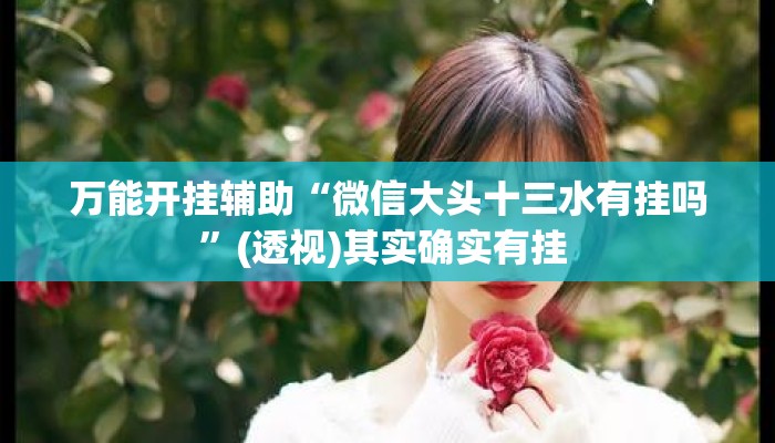 万能开挂辅助“微信大头十三水有挂吗	”(透视)其实确实有挂 