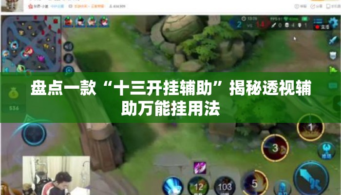 盘点一款“十三开挂辅助	”揭秘透视辅助万能挂用法