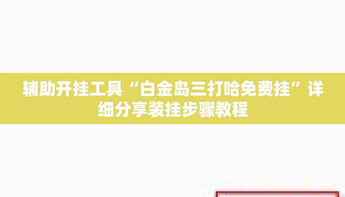 辅助开挂工具“白金岛三打哈免费挂”详细分享装挂步骤教程