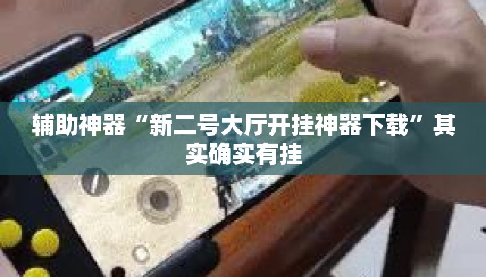 辅助神器“新二号大厅开挂神器下载”其实确实有挂