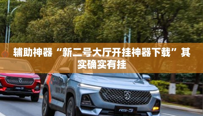 辅助神器“新二号大厅开挂神器下载	”其实确实有挂