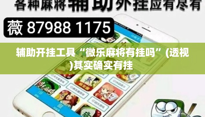 辅助开挂工具“微乐麻将有挂吗”(透视)其实确实有挂 