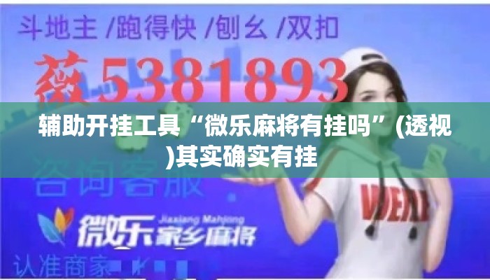 辅助开挂工具“微乐麻将有挂吗”(透视)其实确实有挂 