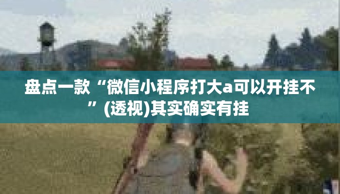 盘点一款“微信小程序打大a可以开挂不	”(透视)其实确实有挂 