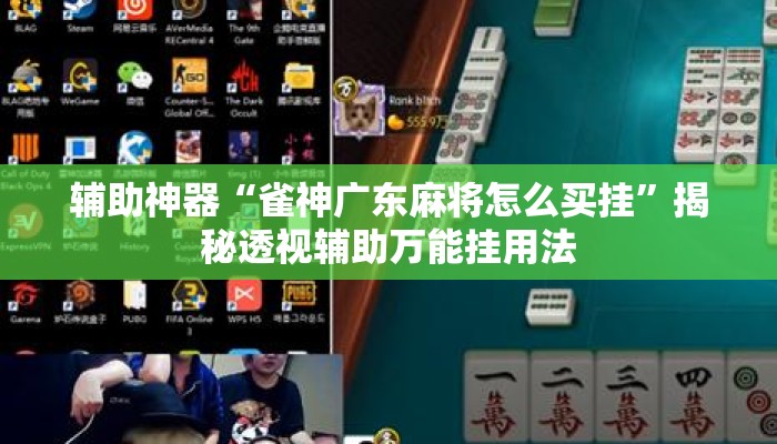 辅助神器“雀神广东麻将怎么买挂”揭秘透视辅助万能挂用法