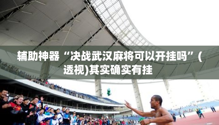 辅助神器“决战武汉麻将可以开挂吗	”(透视)其实确实有挂 
