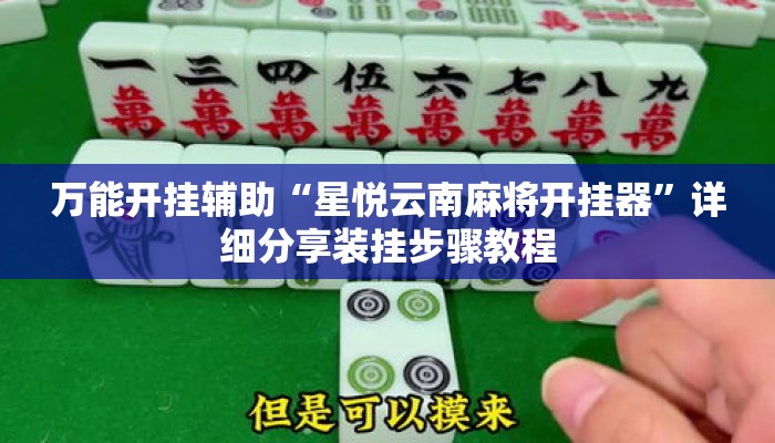 万能开挂辅助“星悦云南麻将开挂器	”详细分享装挂步骤教程