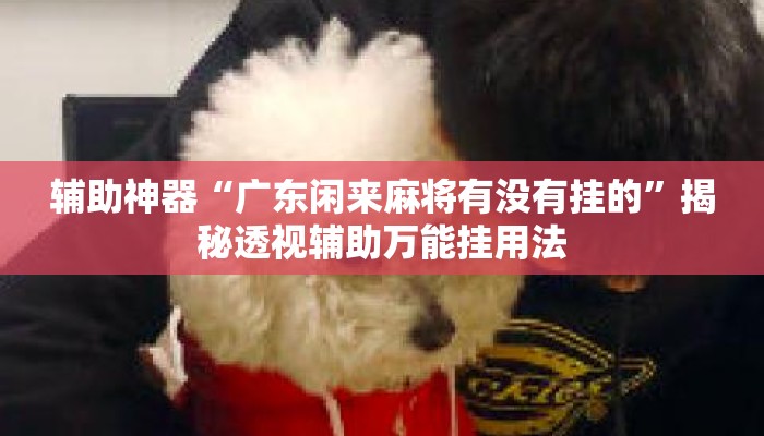 辅助神器“广东闲来麻将有没有挂的	”揭秘透视辅助万能挂用法