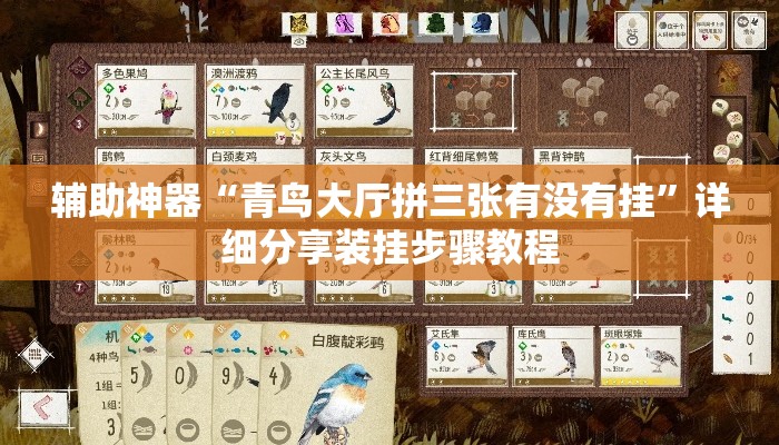 辅助神器“青鸟大厅拼三张有没有挂	”详细分享装挂步骤教程