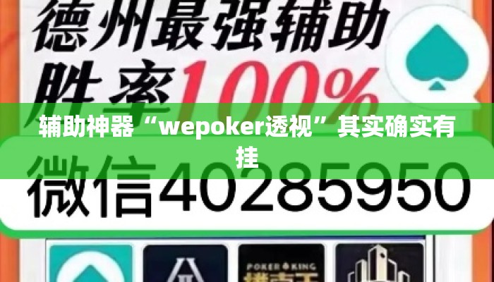 辅助神器“wepoker透视”其实确实有挂
