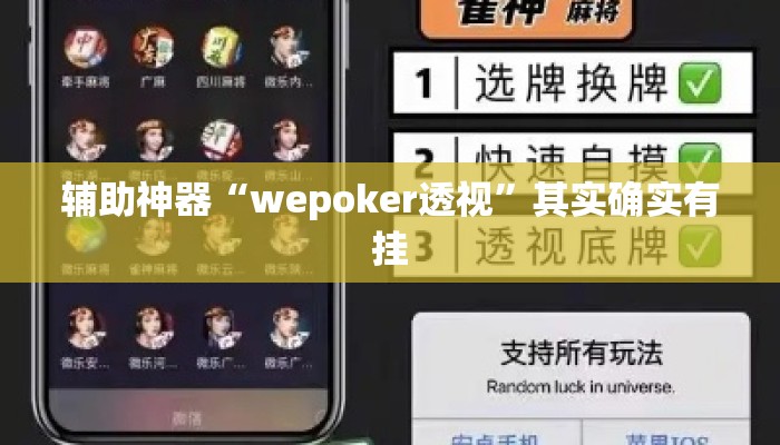 辅助神器“wepoker透视”其实确实有挂