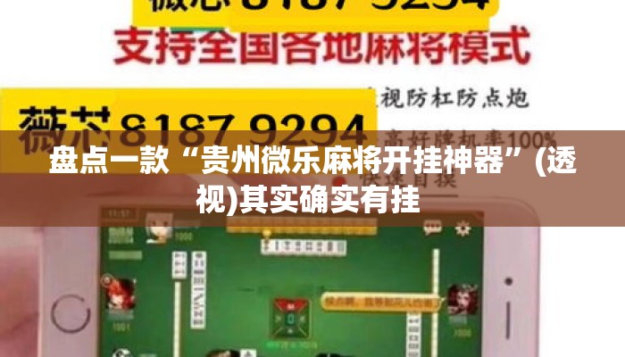 盘点一款“贵州微乐麻将开挂神器	”(透视)其实确实有挂 