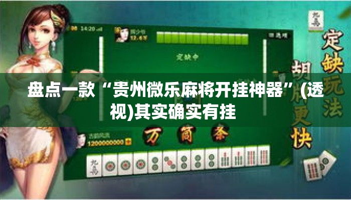 盘点一款“贵州微乐麻将开挂神器	”(透视)其实确实有挂 