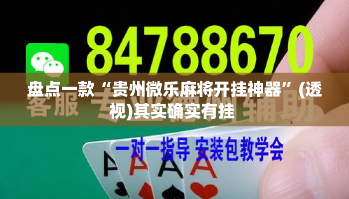 盘点一款“贵州微乐麻将开挂神器”(透视)其实确实有挂 
