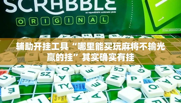 辅助开挂工具“哪里能买玩麻将不输光赢的挂”其实确实有挂