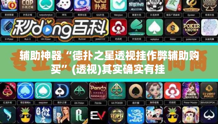 辅助神器“德扑之星透视挂作弊辅助购买”(透视)其实确实有挂 