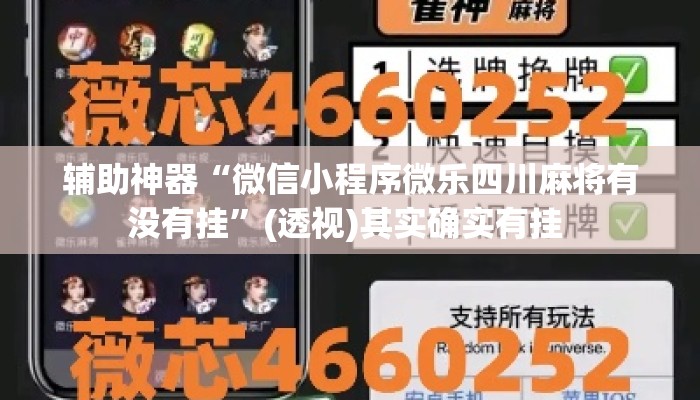 辅助神器“微信小程序微乐四川麻将有没有挂”(透视)其实确实有挂 