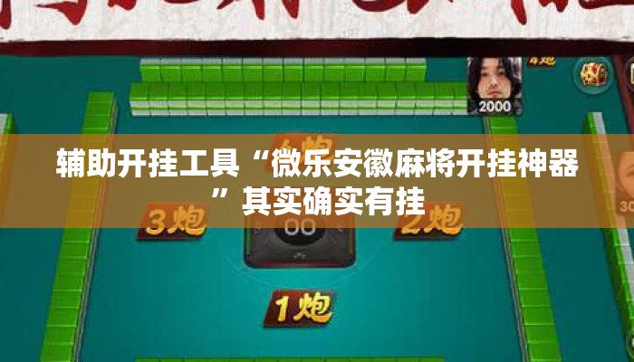 辅助开挂工具“微乐安徽麻将开挂神器”其实确实有挂