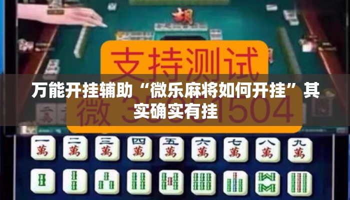 万能开挂辅助“微乐麻将如何开挂	”其实确实有挂