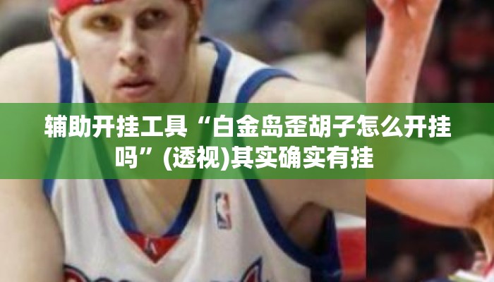 辅助开挂工具“白金岛歪胡子怎么开挂吗”(透视)其实确实有挂 