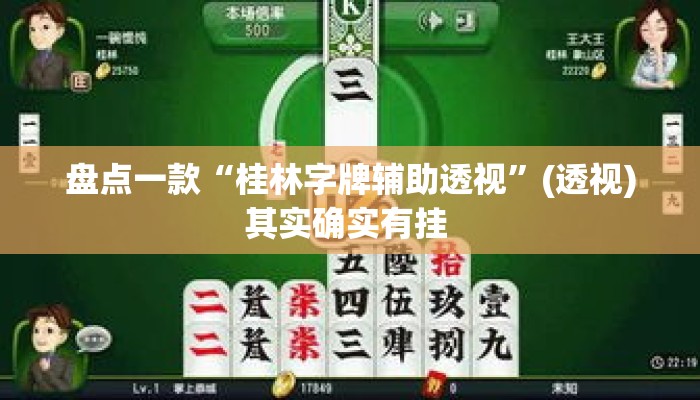 盘点一款“桂林字牌辅助透视”(透视)其实确实有挂 