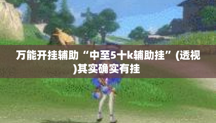 万能开挂辅助“中至5十k辅助挂”(透视)其实确实有挂 