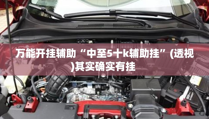 万能开挂辅助“中至5十k辅助挂”(透视)其实确实有挂 