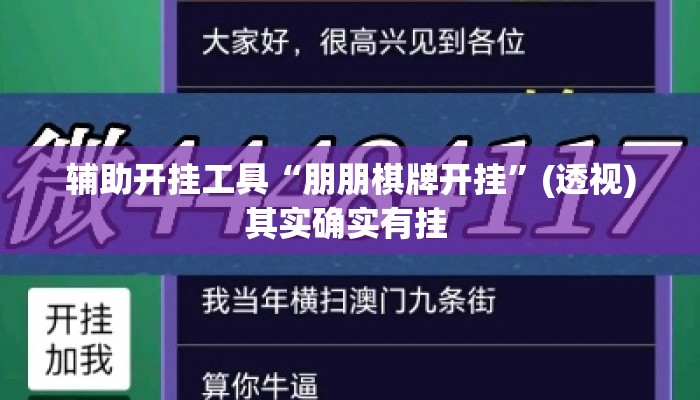 辅助开挂工具“朋朋棋牌开挂”(透视)其实确实有挂 