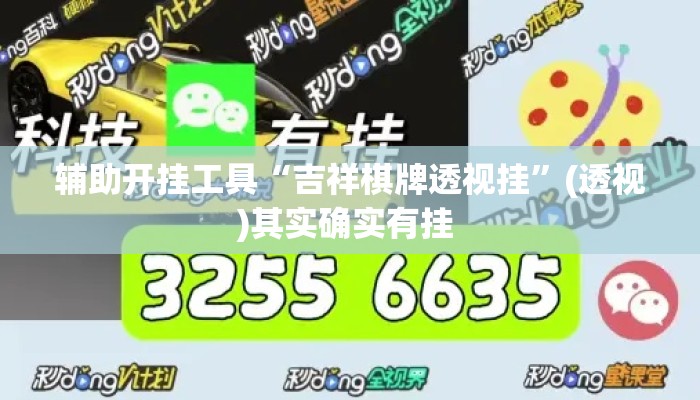 辅助开挂工具“吉祥棋牌透视挂”(透视)其实确实有挂 