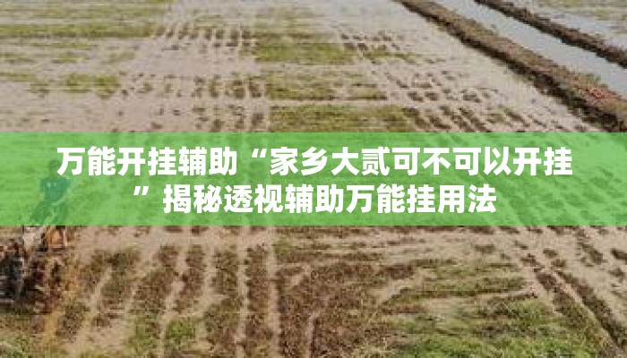 万能开挂辅助“家乡大贰可不可以开挂”揭秘透视辅助万能挂用法