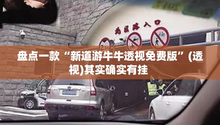 盘点一款“新道游牛牛透视免费版”(透视)其实确实有挂 