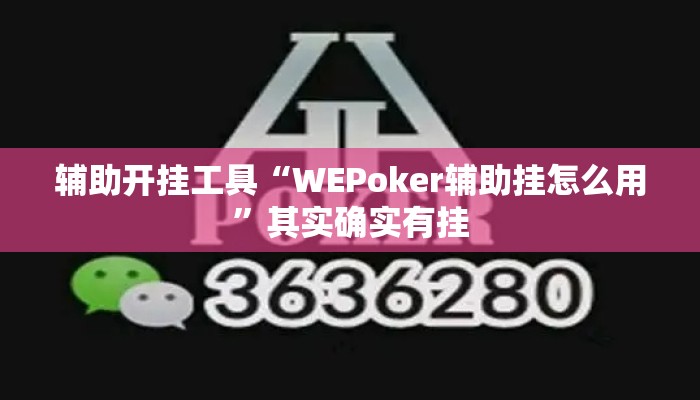 辅助开挂工具“WEPoker辅助挂怎么用	”其实确实有挂