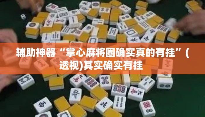 辅助神器“掌心麻将圈确实真的有挂”(透视)其实确实有挂 
