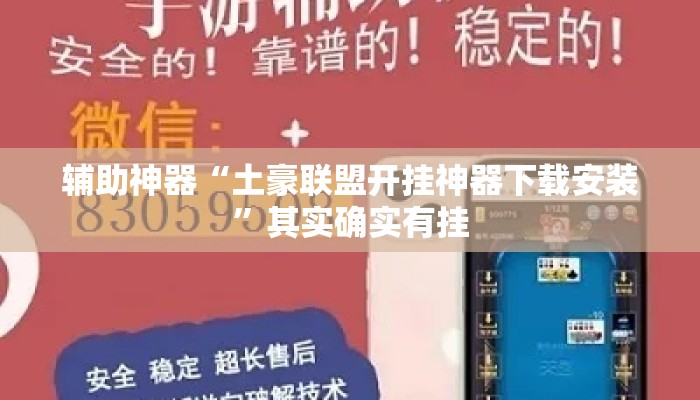 辅助神器“土豪联盟开挂神器下载安装”其实确实有挂