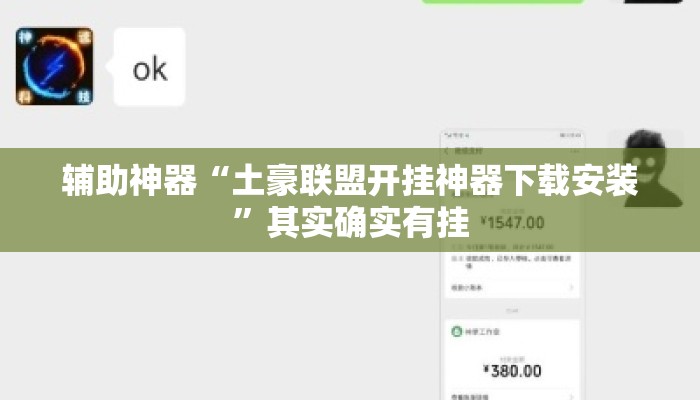 辅助神器“土豪联盟开挂神器下载安装”其实确实有挂