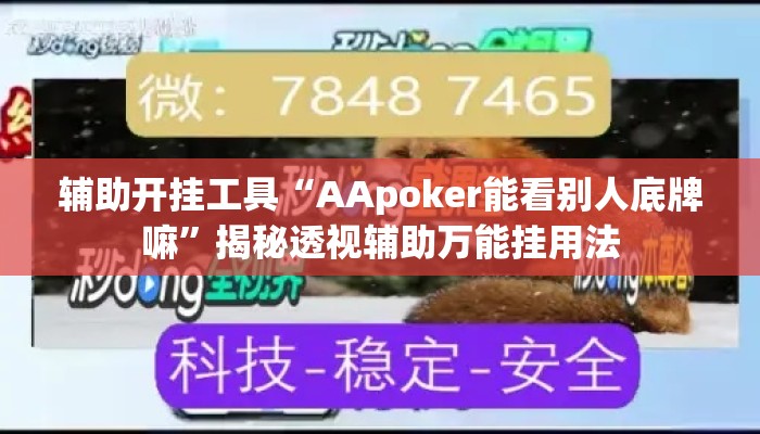 辅助开挂工具“AApoker能看别人底牌嘛”揭秘透视辅助万能挂用法