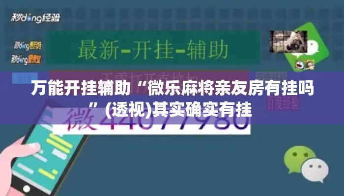 万能开挂辅助“微乐麻将亲友房有挂吗	”(透视)其实确实有挂 