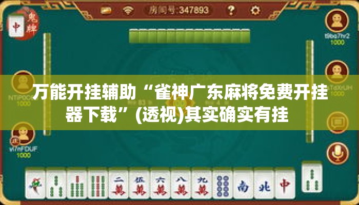 万能开挂辅助“雀神广东麻将免费开挂器下载	”(透视)其实确实有挂 