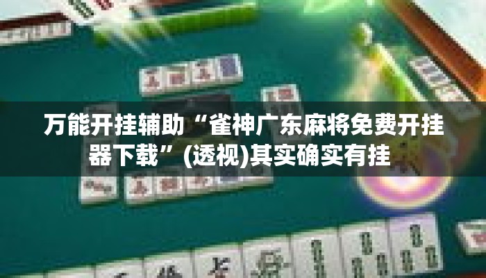 万能开挂辅助“雀神广东麻将免费开挂器下载”(透视)其实确实有挂 