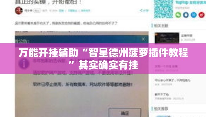万能开挂辅助“智星德州菠萝插件教程”其实确实有挂
