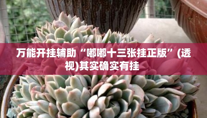 万能开挂辅助“嘟嘟十三张挂正版	”(透视)其实确实有挂 