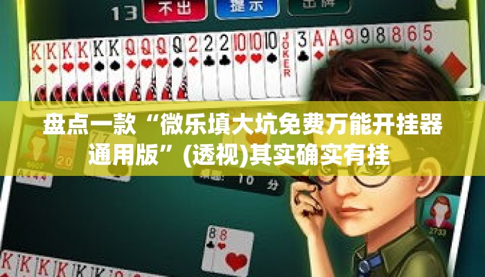 盘点一款“微乐填大坑免费万能开挂器通用版”(透视)其实确实有挂 