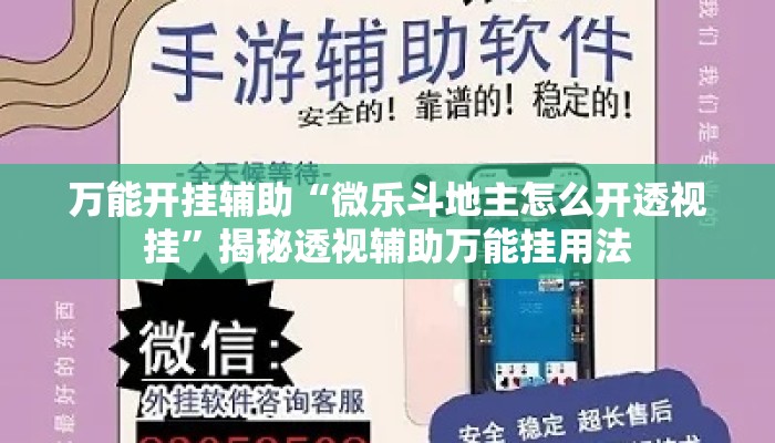 万能开挂辅助“微乐斗地主怎么开透视挂	”揭秘透视辅助万能挂用法