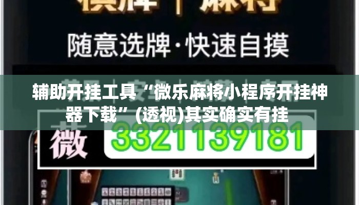 辅助开挂工具“微乐麻将小程序开挂神器下载”(透视)其实确实有挂 