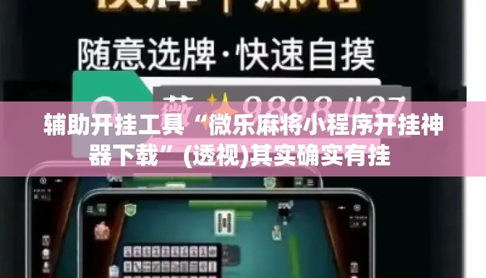 辅助开挂工具“微乐麻将小程序开挂神器下载	”(透视)其实确实有挂 