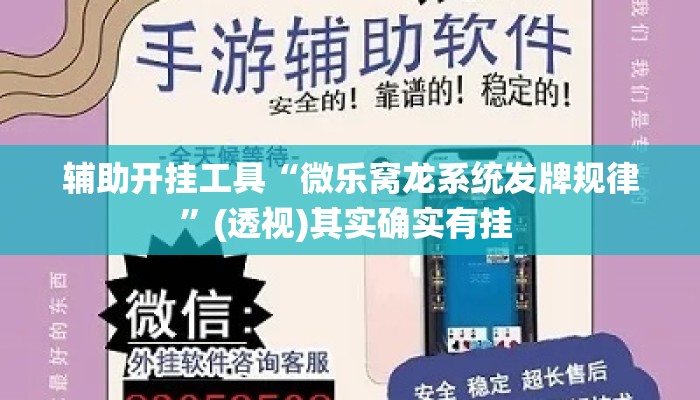 辅助开挂工具“微乐窝龙系统发牌规律”(透视)其实确实有挂 